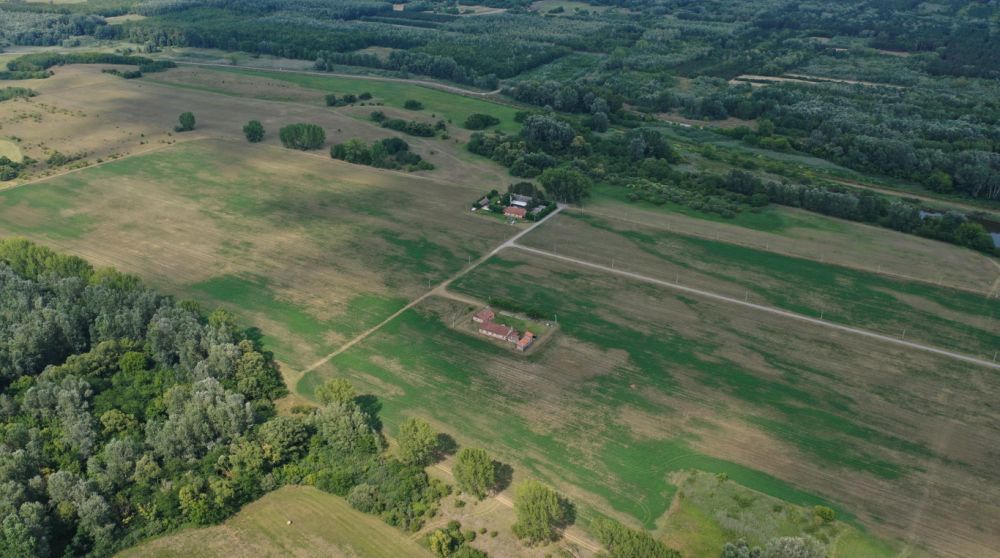 CINS PRIČA: Kako je SNS od podstanara došao do milionskih nekretnina