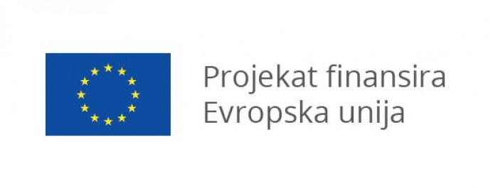 Ostvareni napredak i nedostaci krivično-pravnog sistema zaštite nakon usklađivanja sa Konvencijom Saveta Evrope o sprečavanju i borbi protiv nasilja nad ženama i nasilja u porodici